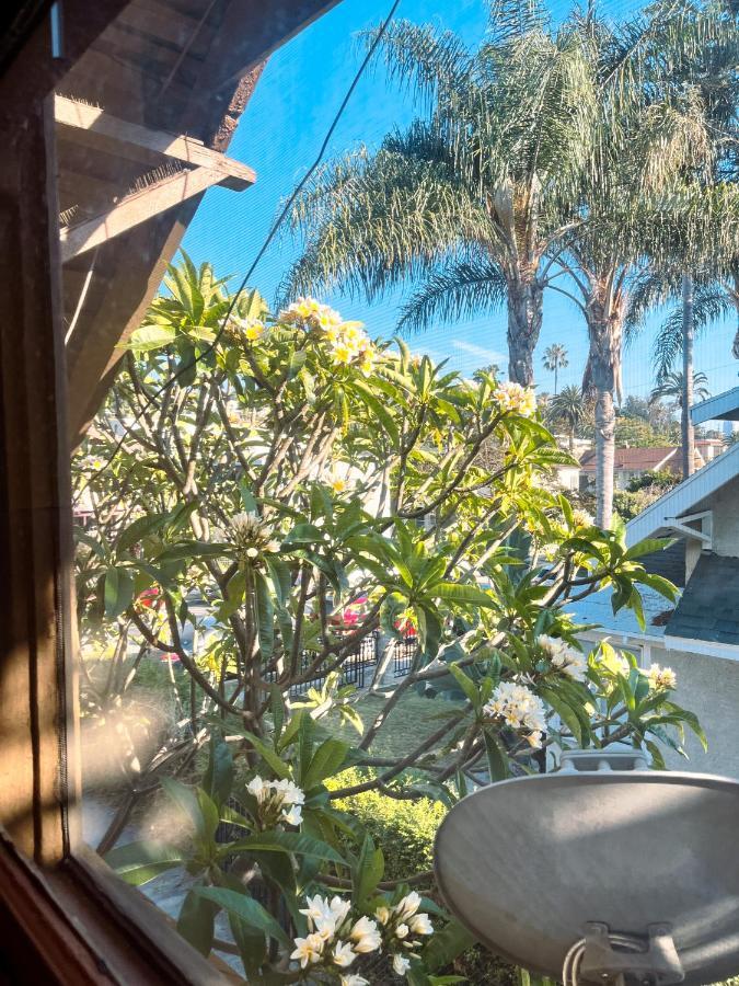 Echo Zen Hostel Los Angeles Eksteriør billede